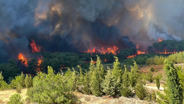 TEMA Vakfı 2025’in çevre olaylarını değerlendirdi